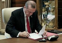 2020 yılı yatırım programı kabul edildi!