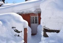 Bitlis’te kar kalınığı 2,5 metreyi buldu, evler kara gömüldü
