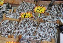 Karadeniz’de sular soğudu, balıkçı tezgahları doldu