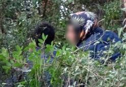 Çalılıkların arasında böyle yakalandılar! Düzenekler bulundu