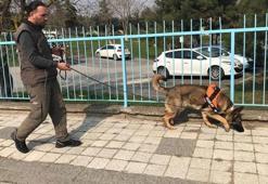 Elektrik arızasını koklayarak buluyorlar!