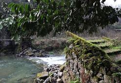 Rize'de tarihi kemer köprü yıkıldı