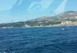 İmralı Adası'nda orman yangını