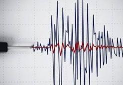 Van'da korkutan deprem!
