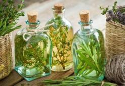 Biberiye yağı ne işe yarar? Faydaları nelerdir?