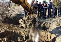 Vahşi cinayeti 8 yıl sonra itiraf etti