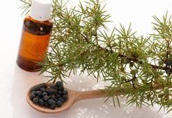 Ardıç yağı ne işe yarar? Faydaları ne?