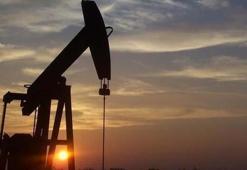 Petrol fiyatları neden düşüyor? Petrol fiyatlarındaki düşüş devam edecek mi?