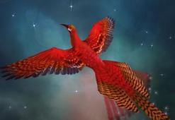 Zümrüdü Anka kuşu efsanesi nedir? Anka kuşu hikayesi ve masalı