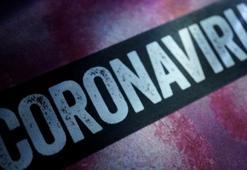 Yeni Corona virüsünün karantina kuralları neler? Evde yapılması gerekenler ne?