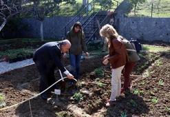 Yalova'nın endemik bitkileri koruma altında