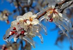 Meteorolojiden yağış ve zirai don uyarısı