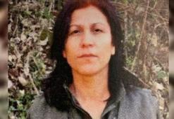 MİT ve TSK'dan ortak operasyon! Halide Tarı etkisiz hale getirildi