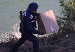 Kesik kol vahşetinde bir başka baraj göletinde yeni vücut parçaları bulundu