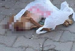 Kan donduran olay! Kafası kesilmiş halde bulundu