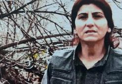 MİT ve TSK'nın operasyonuyla öldürüldü
