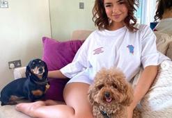 Demi Rose'dan yatak pozu! Instagram'ı salladı...