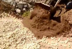 İran'da yüz binlerce civcivin itlaf edilmesi infiale yol açtı