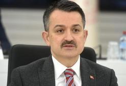 Bakan Pakdemirli'den flaş 'pide' açıklaması