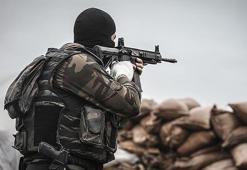 Terör örgütünün dağ kadrosunda olan terörist teslim oldu