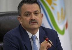 Bakan Pakdemirli garanti verdi ve açıkladı: Gerekirse biz alırız