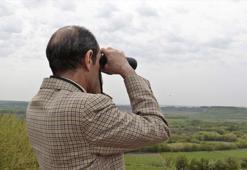 Bıyıklı kamışçın, bilim insanlarını heyecanlandırdı