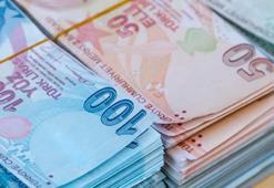 Bakanlık duyurdu! 176 milyon lira kaynak ayrıldı