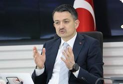 Bakan duyurdu: Destek ödemesi başlıyor...