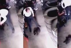 Yavru köpeği yere vurarak öldürmüştü! Yakalandı