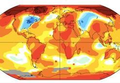 NASA'dan kritik açıklama: 2020 tüm zamanların en sıcak yılı olabilir