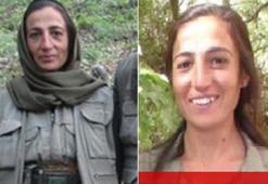 Kırmızı listedeki PKK'lı kadın terörist, mağarada kanserden ölmüş