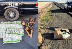 ABD'de polis kovalamacası sırasında yol kenarına 900 bin dolardan  fazla para atıldı