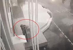 8 okulun bahçesindeki Atatürk büstü çalındı! Tanesini 2 bin liraya satmışlar