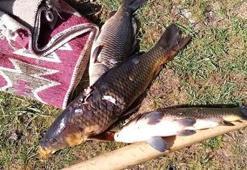 Beyşehir Gölünde yasa dışı avlanmaya 46 bin 800 lira ceza