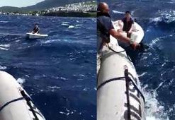 İzmir'de denizin ortasında can pazarı