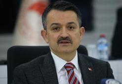 Bekir Pakdemirli'den vatandaşlara çağrı! Saat 21.00'de...