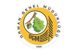 Orman Genel Müdürlüğü personel alımı ilanı verdi - OGM KPSS şartsız personel alımı şartları nelerdir, başvuru nasıl yapılır?