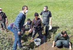 Susuz kalan 3 ton balık için seferber oldular