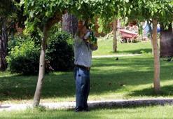 Yeni sıcak hava dalgası başlıyor!