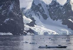 Antartika'daki eriyen kar yüzeyi yosun örtüleriyle kaplanıyor