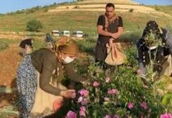 Berdan Mardini'ye hasat sırasında sürpriz