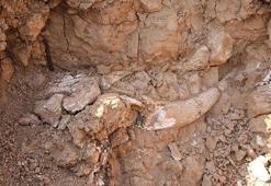 Meksika'da mamut kalıntıları bulundu