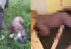Ukrayna'da katliam! 7 kişiyi av tüfeğiyle öldürdü