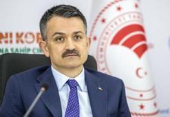 Tarım ve Orman Bakanı Bekir Pakdemirli'den Ramazan Bayramı mesajı