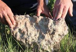 Tarlada bulduğu 'gök taşını' satılığa çıkardı
