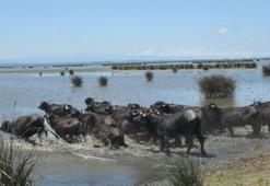 Türkiye'de ilk sırada! 3.5 milyon liralık proje kabul edildi