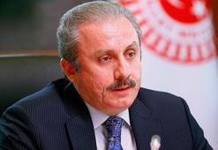 Şentop: Yasama döneminin sonunu beklemek yönünde teamül bulunmuyor
