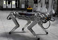 Konya'da ARAT isimli robot üretildi!