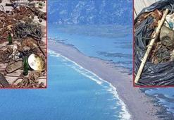 Bakan Kurum'u isyan ettiren görüntü: İçimizi acıttı