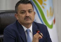 Bakan Pakdemirli: Tüm zararlar karşılanacak